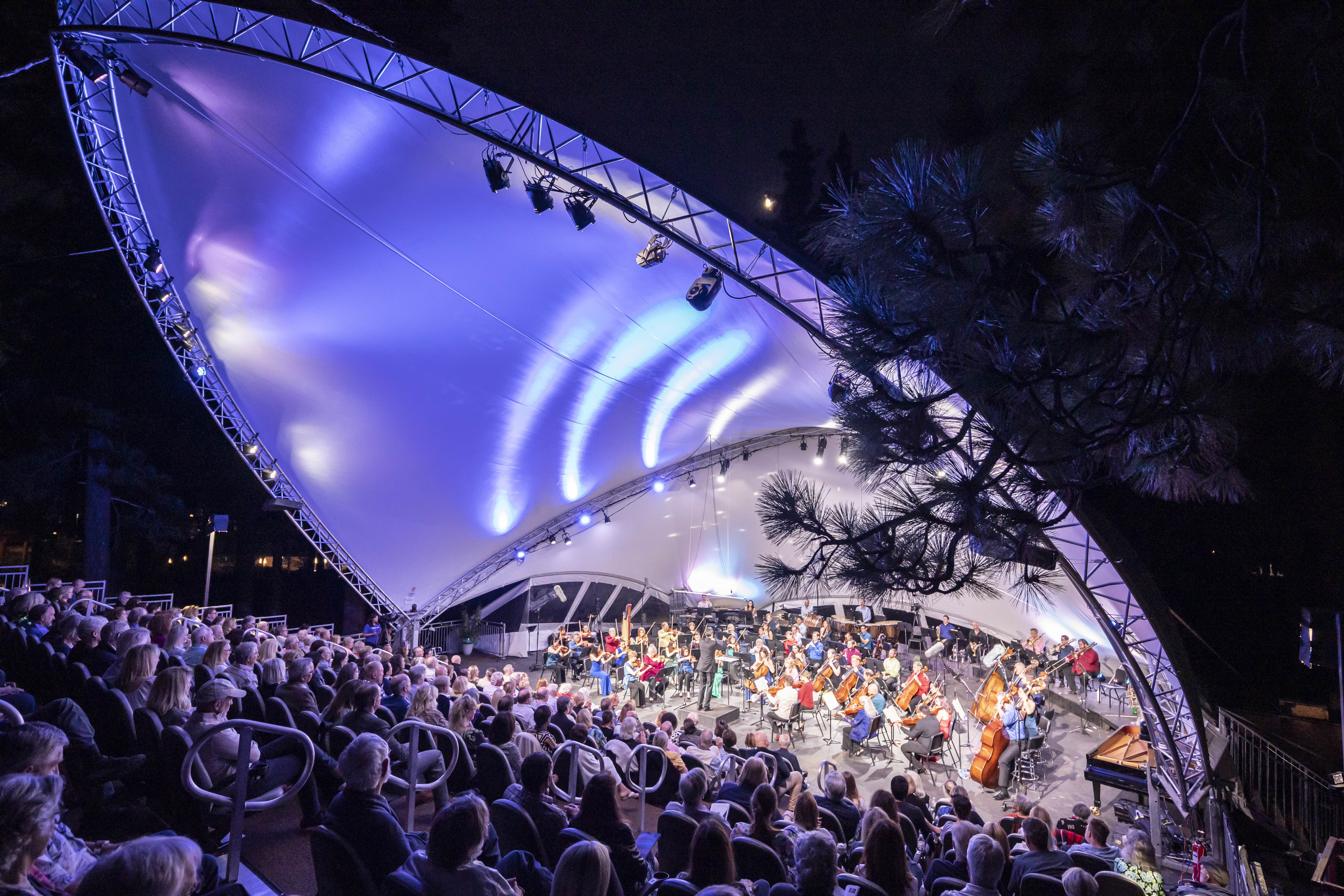 Download a zipped file of promotional materials in the Additional Assets section below.